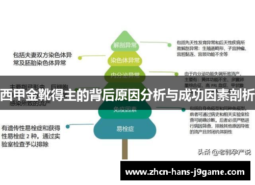 西甲金靴得主的背后原因分析与成功因素剖析